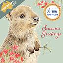 Christmas Card Wallet-CMRI-Quokka Greetings
