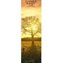 Allaluna 16x49 Cal-Sunrise & Sunset