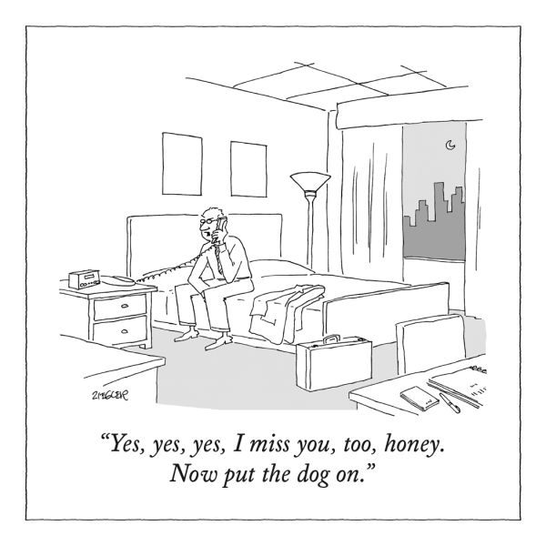 Flex Magnet-Put The Dog On