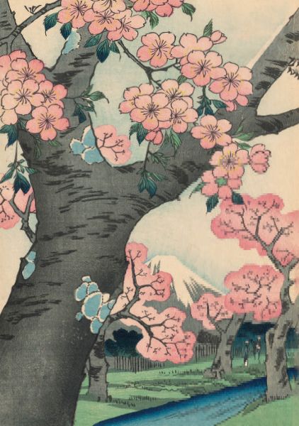 Card-Cherry Blossoms at Koganei