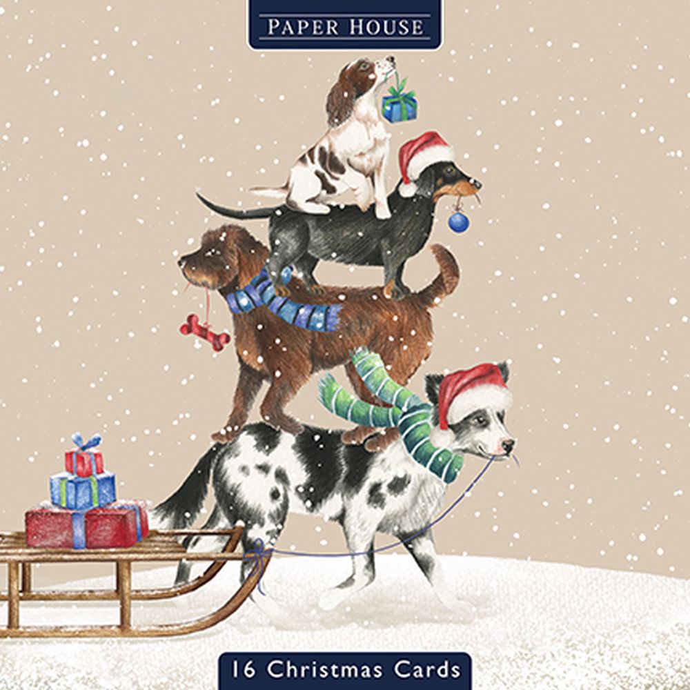 Boxed Card Park of 16 (2 designs)-Christmas Dogs