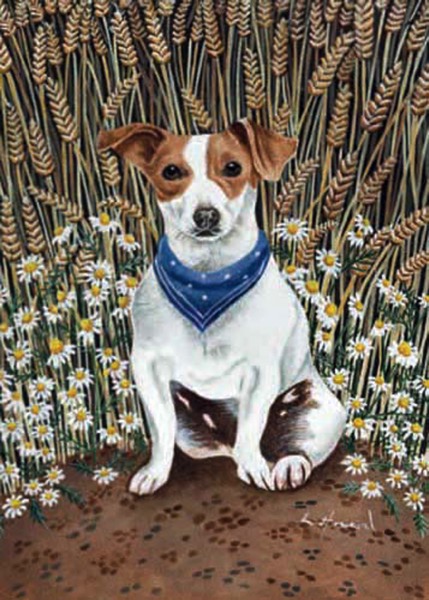 [CD-C-CDP028A-7] Card-Little Jack