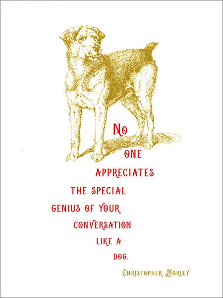 [AV-C-QP449] Card-Like A Dog