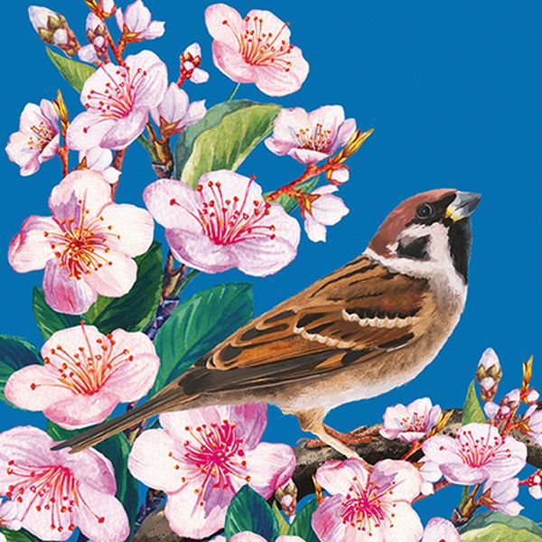 [AL-BOT110001] Card-Bird and Blossoms