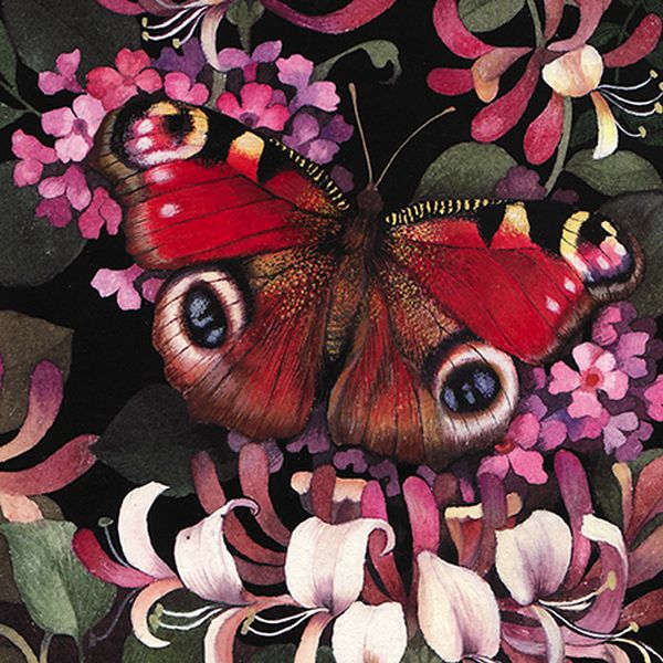 [AL-NH0012] Card-Peacock Butterfly